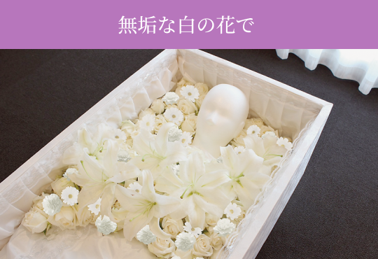 カラー変更前のイメージ 無垢な白の花で