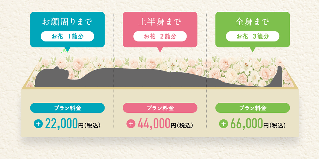 カラー変更後のイメージ カラー変更は無料です！